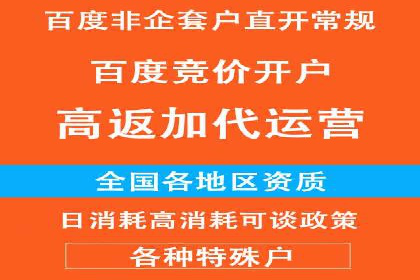 百度推广运营实战技巧：案例教学与实战演练